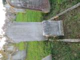 image number C1_291